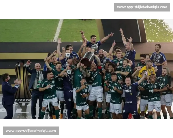 帕尔梅拉斯加时赛绝杀!保利尼奥替补登场一剑封喉